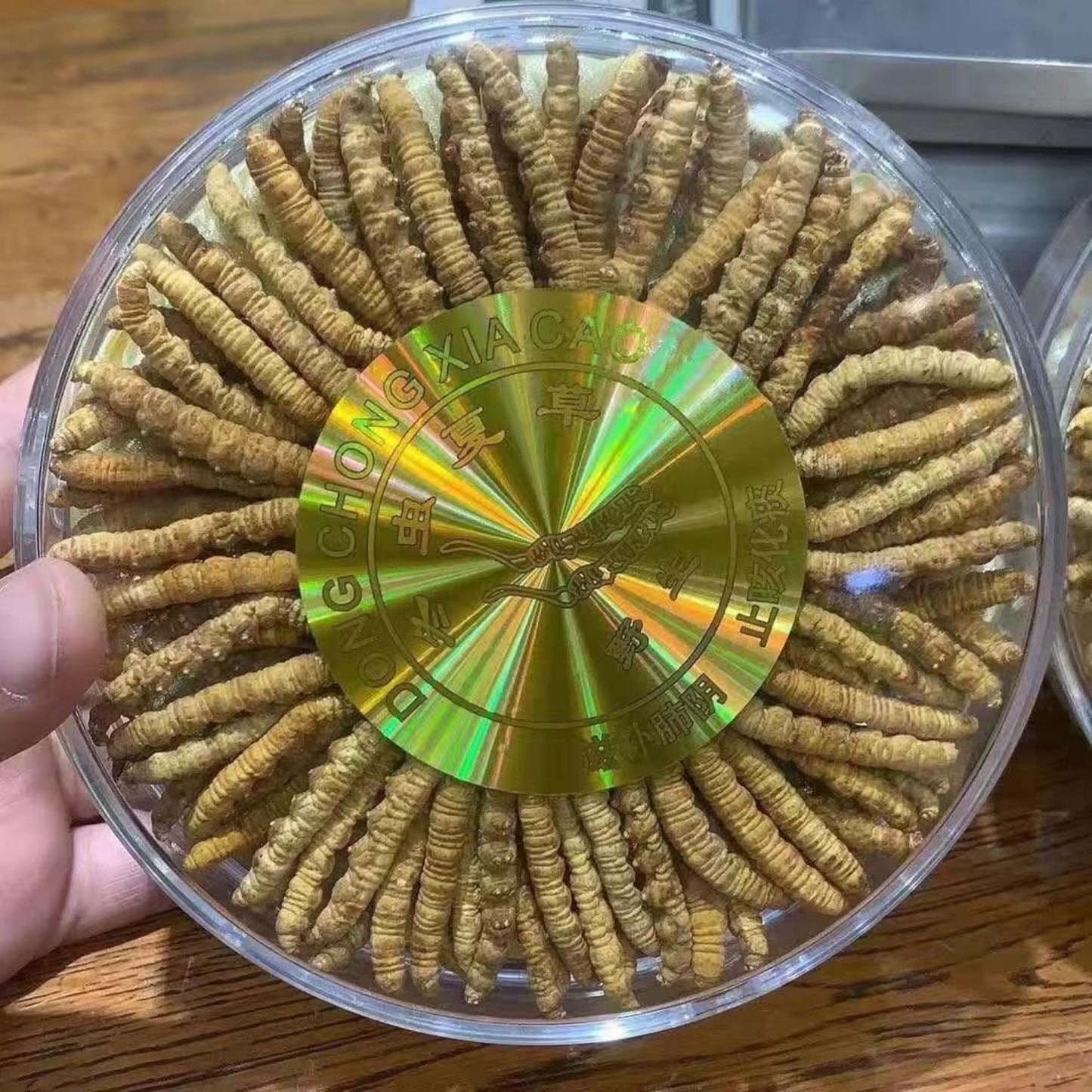 Xizang Cordyceps 冬虫夏草 (Dong Chong Xia Cao)